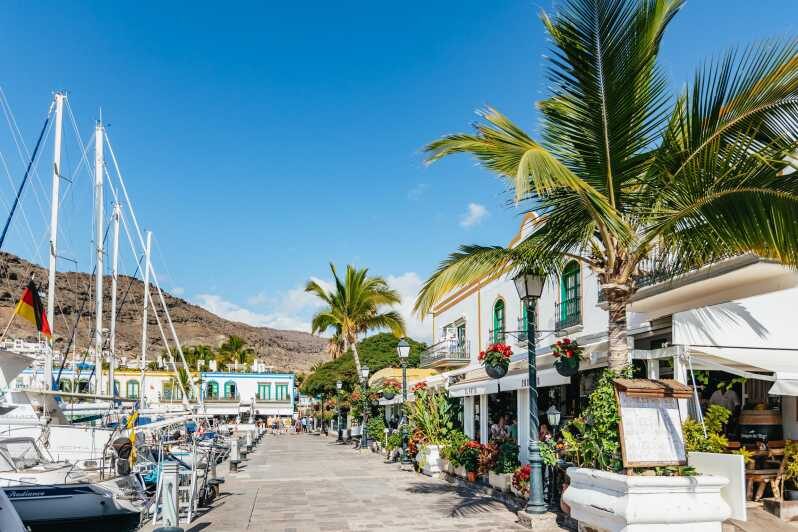 From Las Palmas: Highlights of Gran Canaria Day Tour - Key highlights to know before you go
