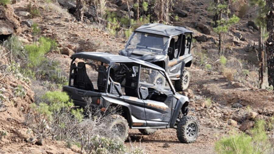 From Maspalomas: Volcanic Landscapes 4-Seater Buggy Tour - The heart of the tour: volcanic trails, sand, and photo-stop timing