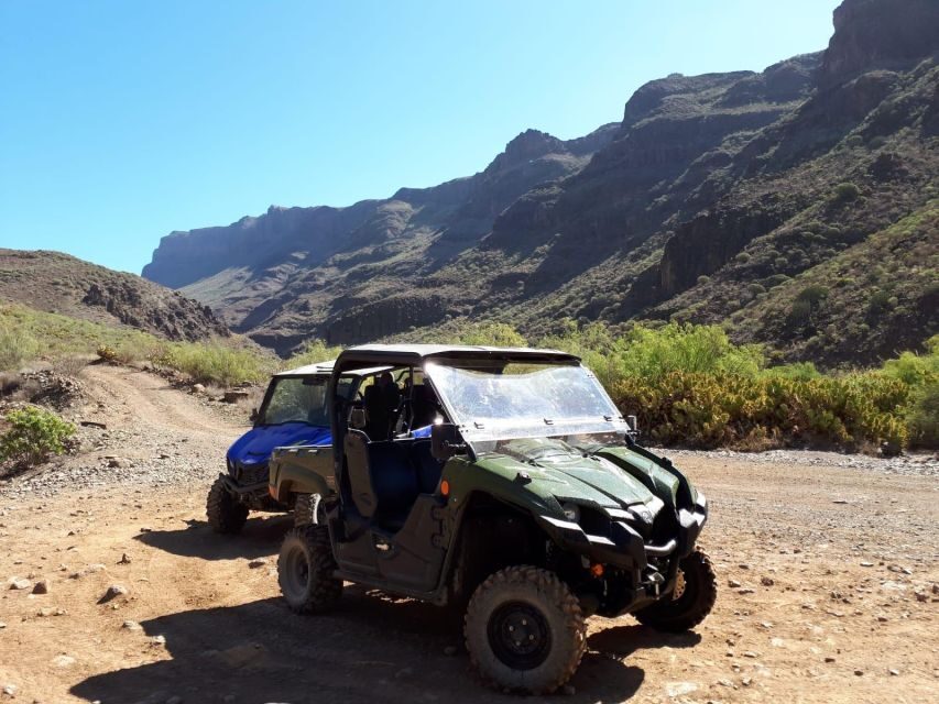 From Maspalomas: Volcanic Landscapes 4-Seater Buggy Tour - Price and value: Is $177 per group up to 2 worth it?