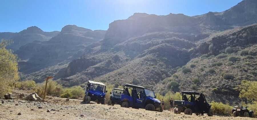 From Maspalomas: Volcanic Landscapes 4-Seater Buggy Tour - Practical tips to make the ride better
