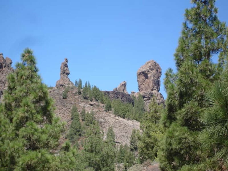 From Palmas: Pico de las Nieves & Roque Nublo Full-Day Trip - Pickup in Las Palmas: how the day starts (and why it matters)