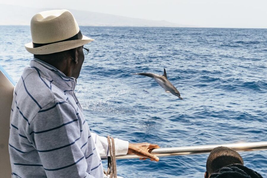 From Puerto Rico de Gran Canaria: Dolphin Watching Cruise - What you might see beyond dolphins (and why that matters)