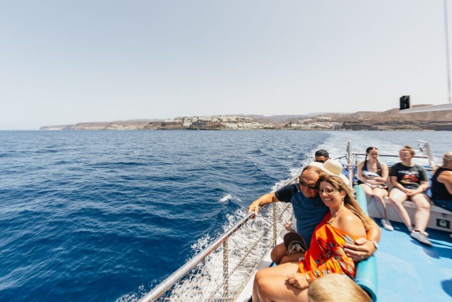 From Puerto Rico de Gran Canaria: Dolphin Watching Cruise - Price and value: is $47 a fair deal?