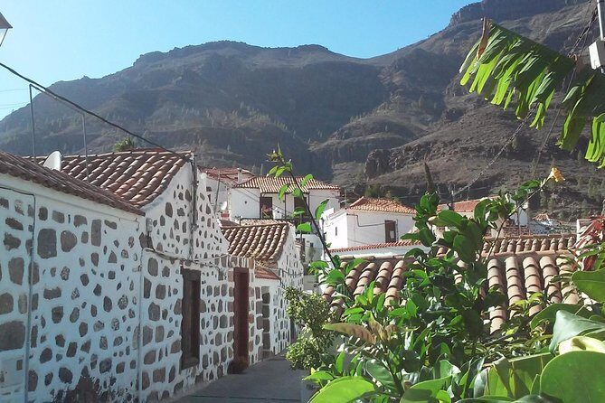 Full Day Across the Island Tour from Las Palmas - Fataga: palm canyon views and about an hour to eat like a local