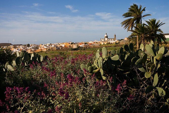 Full-Day Gran Canaria Island Tour - Cumbres - Lunch in Valleseco: the extra cost you should plan for