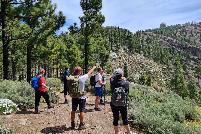 Full day Hiking Gran Canaria Peaks of Gran Canaria - Key things I’d circle before you book