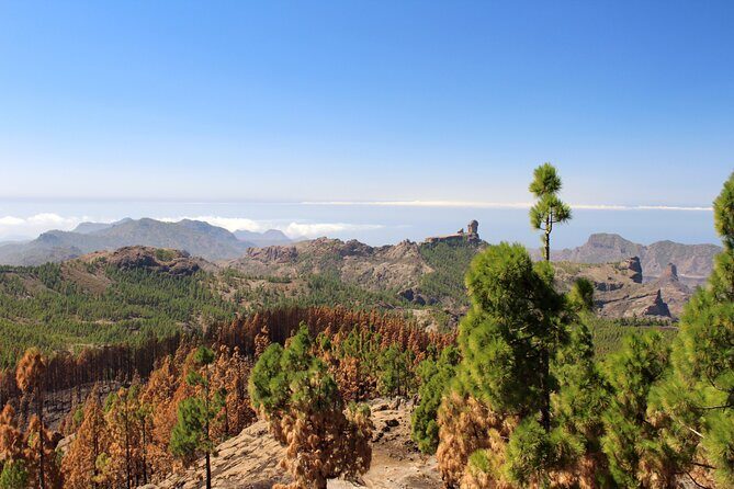 Full day Hiking Gran Canaria Peaks of Gran Canaria - How long you’ll hike: distances, time, and elevation reality