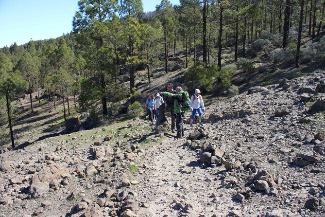 Full day Hiking Gran Canaria Peaks of Gran Canaria - The view program: Pico de las Nieves, Roque Nublo, and a Teide sighting