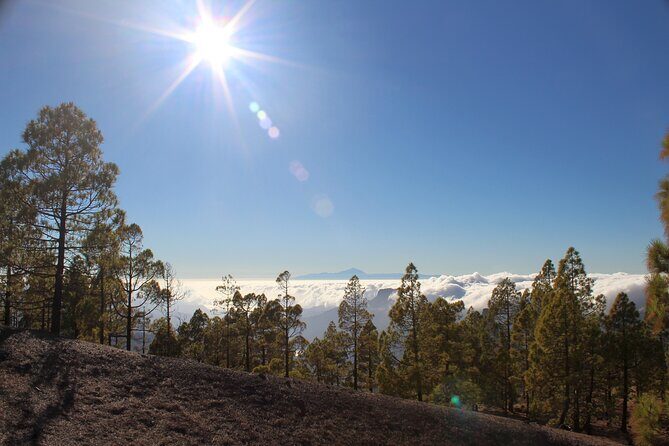 Full day Hiking Gran Canaria Peaks of Gran Canaria - Route changes by season: May 15 to Sept 30 isn’t the same hike