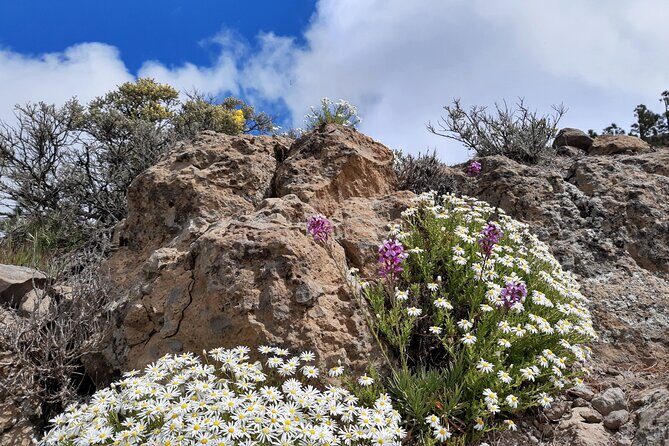 Full day Hiking Gran Canaria Peaks of Gran Canaria - What to wear and pack for Gran Canaria mountain hiking