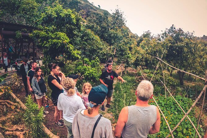 Full Day Rainforest Tour with Tasting and Swimming Time ツ - Firgas and the City of Water: a gentle start with real context