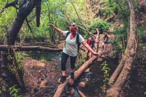 Full Day Rainforest Tour with Tasting and Swimming Time ツ - Barranco de Azuaje in Doramas: the main hike you’ll remember
