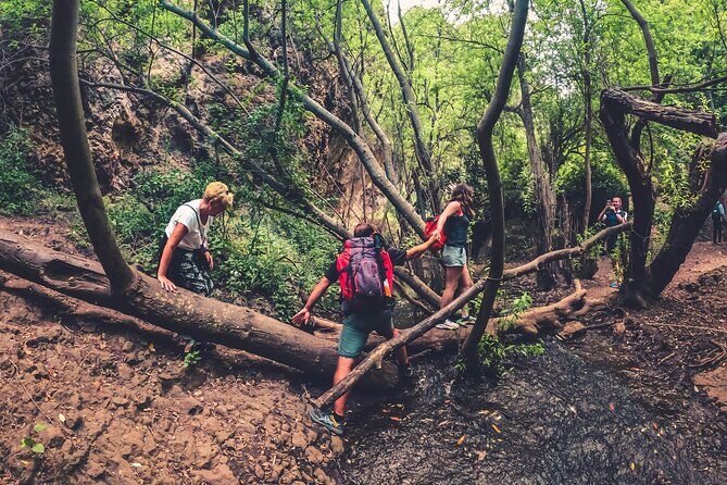 Full Day Rainforest Tour with Tasting and Swimming Time ツ - How hard is it, really? Terrain, timing, and comfort