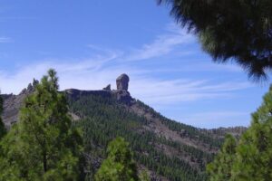 Full-Day Tour Exploring History, Nature and Aloe Vera Farm - How the Day Runs: Pickup Window, Coach Time, and Stop Length Reality