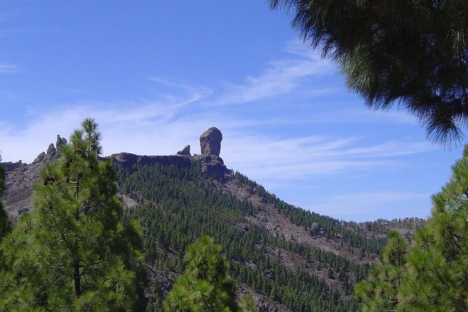 Full-Day Tour Exploring History, Nature and Aloe Vera Farm - How the Day Runs: Pickup Window, Coach Time, and Stop Length Reality