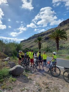 Gran Canaria: 1-7 Day E-Bike Rental 80 km battery life - Pick-up at Playa del Ingles: simple start, small-group vibe
