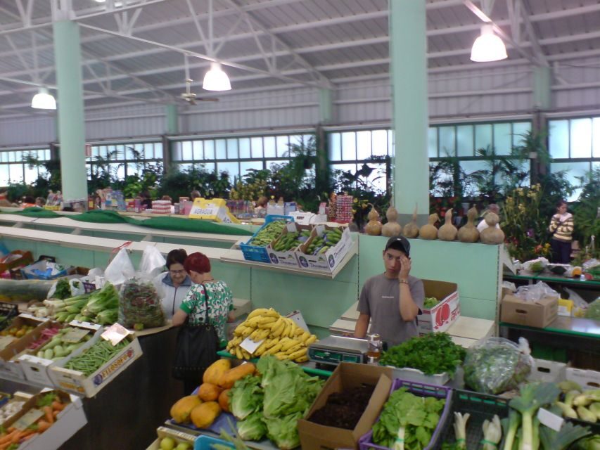 Gran Canaria: 6-Hour Teror and San Mateo Markets Tour - The guide experience: modern coach comfort and local context