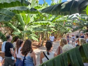 Gran Canaria: Banana World Guided Tour & Tasting - Entering the Plantation: 7,000 Banana Plants, Avocados, and Ocean Views