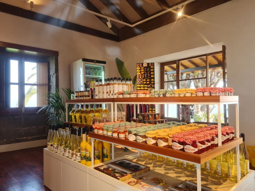 Gran Canaria: Banana World Guided Tour & Tasting - Museo del Platano Stop: Safety Briefing, Local Snacks, and a Mini Museum Pace