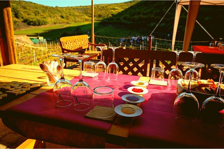 Gran Canaria: Best Wineries and Views Tour - What to Pack (So the Day Feels Easy)