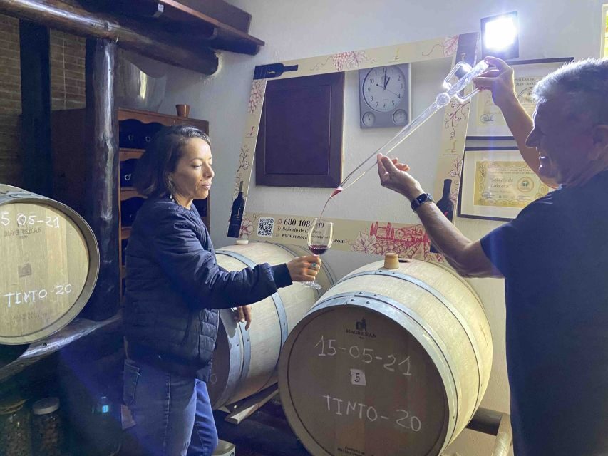 Gran Canaria: Best Wineries and Views Tour - The Winery Visit: What You Actually Get for the Two Hours