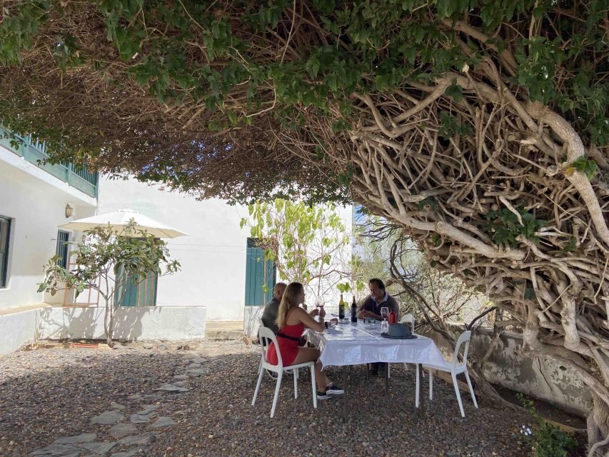Gran Canaria: Best Wineries and Views Tour - The Tastings Feel Like a Get-Together (Because They Sort of Are)