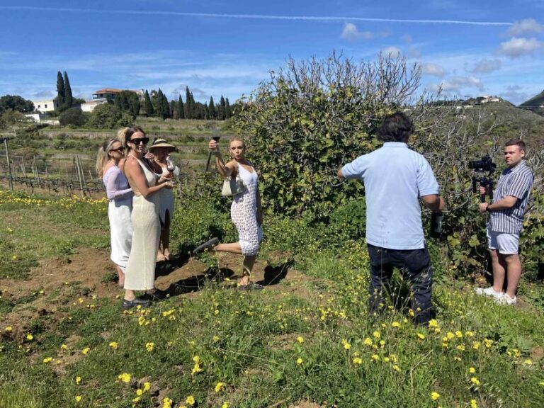 Gran Canaria: Best Wineries and Views Tour - Pickup in the South: Fast Start, Fewer Stops