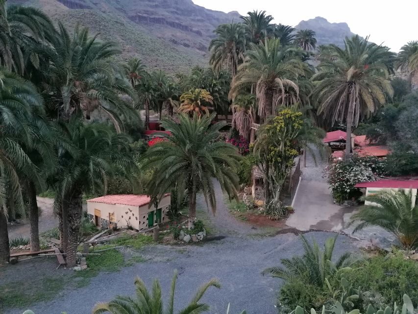 Gran Canaria: Camel Ride at Camel Safari Park - What to bring (and what not to overthink)