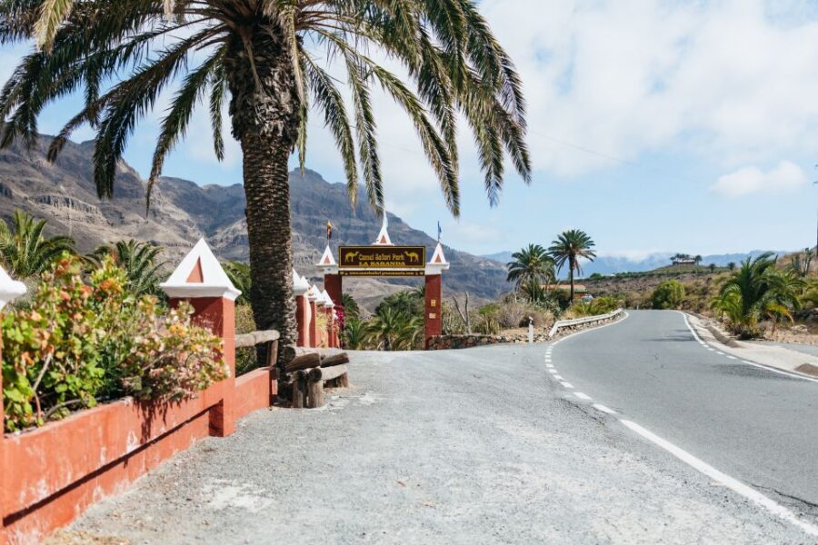 Gran Canaria: Camel Ride Safari w/ Optional Food & Transport - Should You Book the Camel Safari Park La Baranda Tour?