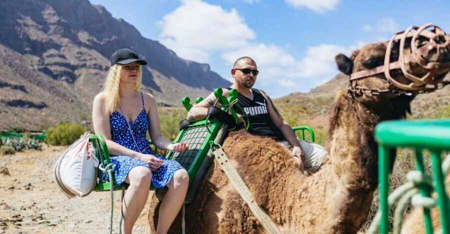 Gran Canaria: Camel Ride Safari w/ Optional Food & Transport - The 60-Minute Camel Ride Through the Oasis