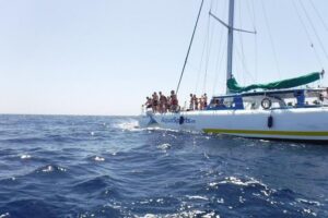 Gran Canaria Catamaran Cruise from Puerto Rico - Key things I’d look for before you go