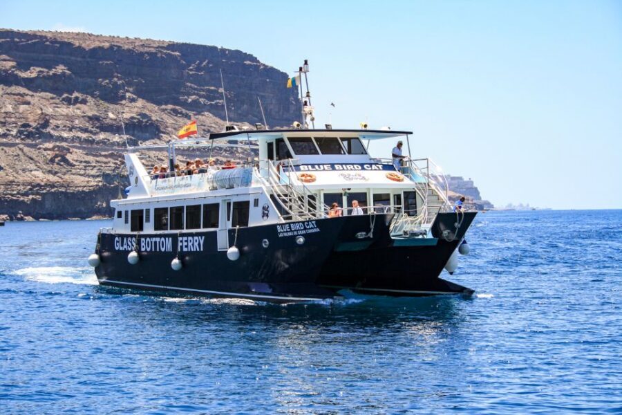 Gran Canaria: Catamaran Dolphin Watch Cruise with Snorkeling - Key Highlights Worth Your Time