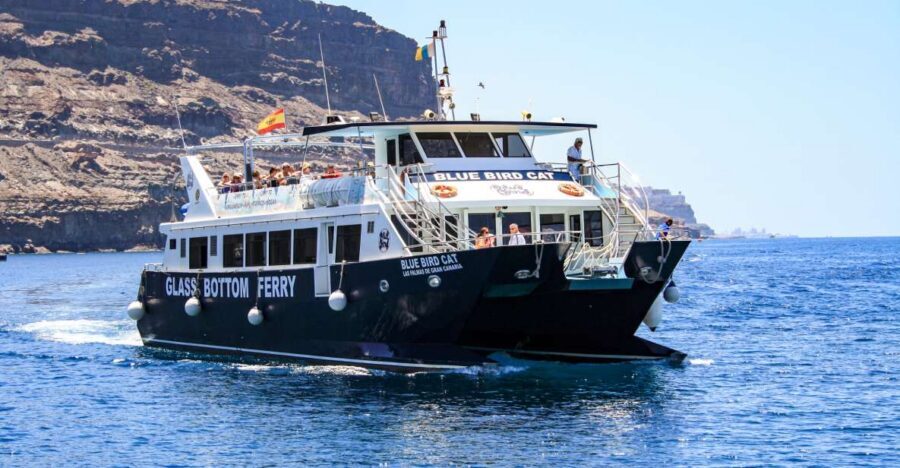 Gran Canaria: Catamaran Dolphin Watch Cruise with Snorkeling - What You’re Really Paying For on This Catamaran Cruise