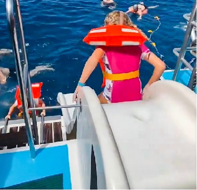 Gran Canaria: Catamaran Dolphin Watch Cruise with Snorkeling - Dolphin and Whale Watching: Two Hours of Scanning the Atlantic