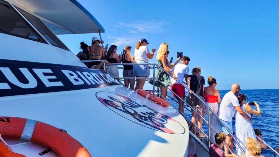 Gran Canaria: Catamaran Dolphin Watch Cruise with Snorkeling - The Taurito Swim and Snorkel Stop: Where the Cruise Becomes Real