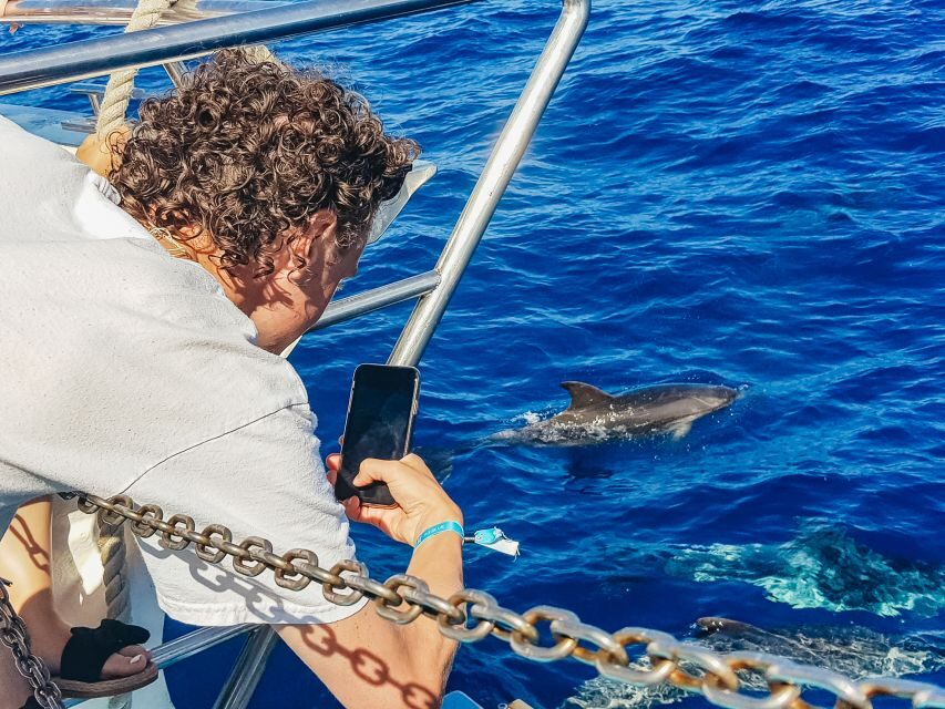 Gran Canaria: Catamaran Dolphin Watch Cruise with Snorkeling - Onboard Comfort and Fun: Slides, Music, and Drinks