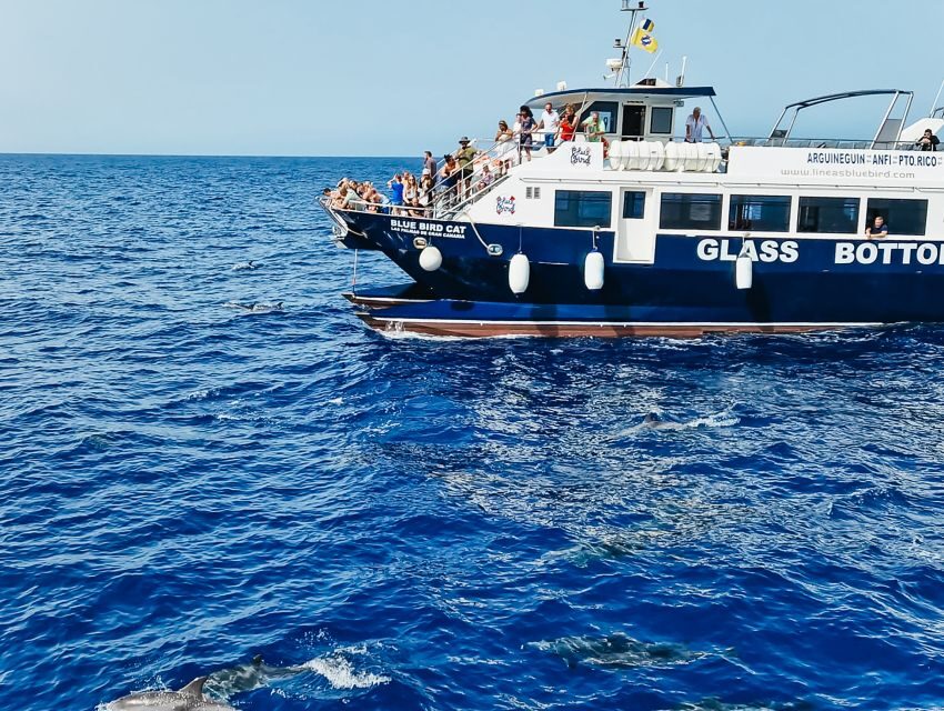 Gran Canaria: Catamaran Dolphin Watch Cruise with Snorkeling - From Pickup to Puerto Base: How the Timing Works