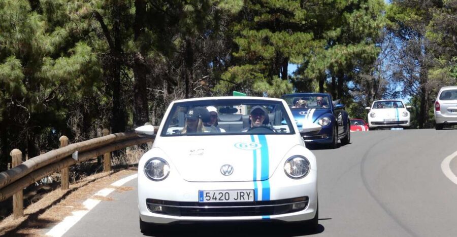 Gran Canaria: Convertible Beetle Tour - Key viewpoint stops that actually earn your photo time