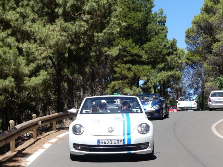 Gran Canaria: Convertible Beetle Tour - The route: ravines, mountain bends, and a climb over 1500 meters