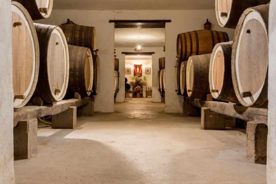 Gran Canaria: Customizable Private Tour - From Las Palmas pickup to your first big viewpoints