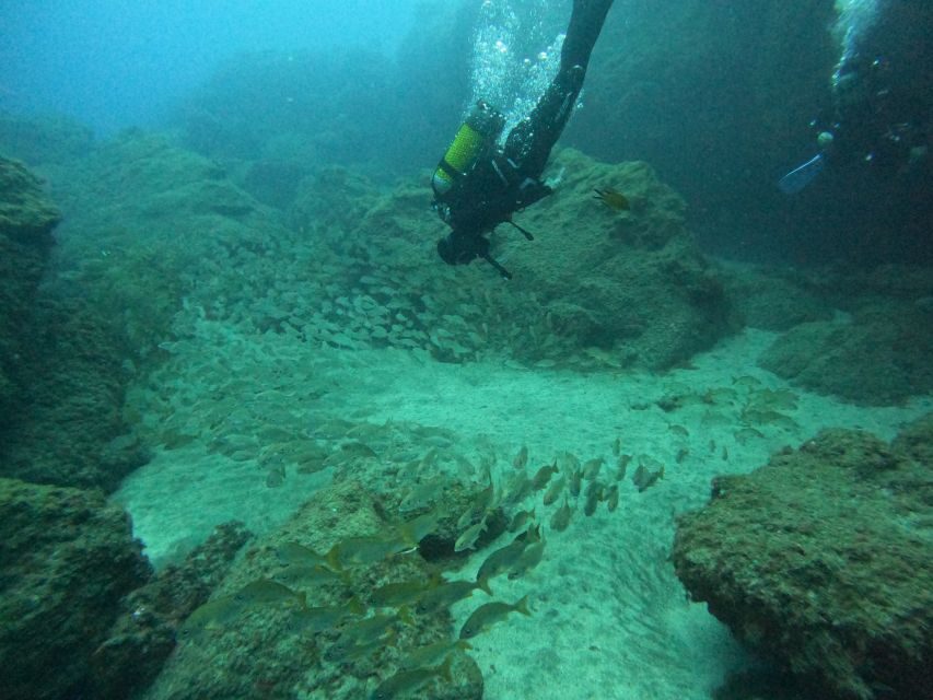Gran Canaria: Discover Scuba Diving - Free Transfers - Key highlights you’ll care about