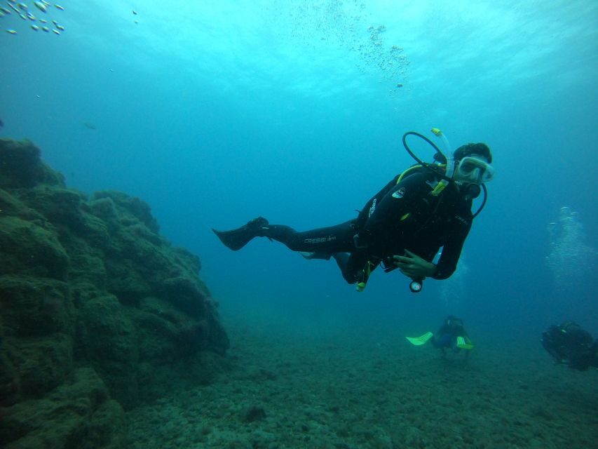 Gran Canaria: Discover Scuba Diving - Free Transfers - Training before you go: the 30-minute skills block that saves your nerves