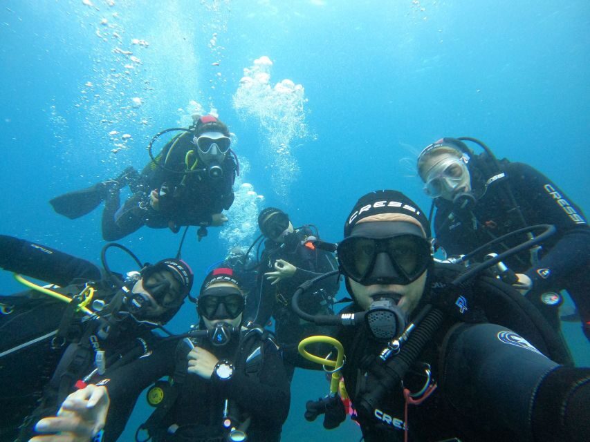Gran Canaria: Discover Scuba Diving - Free Transfers - Photos, videos, and what you should plan for