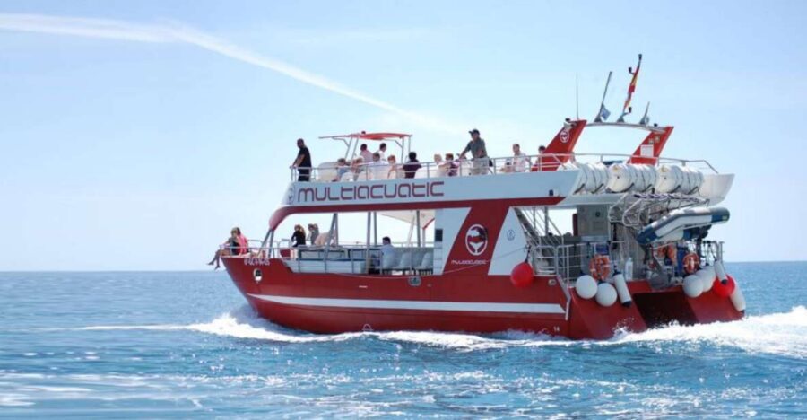 Gran Canaria: Dolphin and Whale Watching Cruise - Key things to know before you go