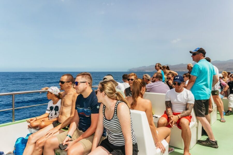 Gran Canaria: Dolphin and Whale Watching Cruise - Should you book the Gran Canaria Dolphin and Whale Watching Cruise?