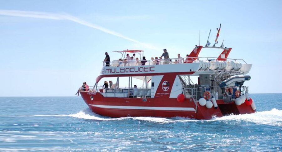 Gran Canaria: Dolphin and Whale Watching Cruise - Multiacuatic catamaran comfort: what the boat layout means