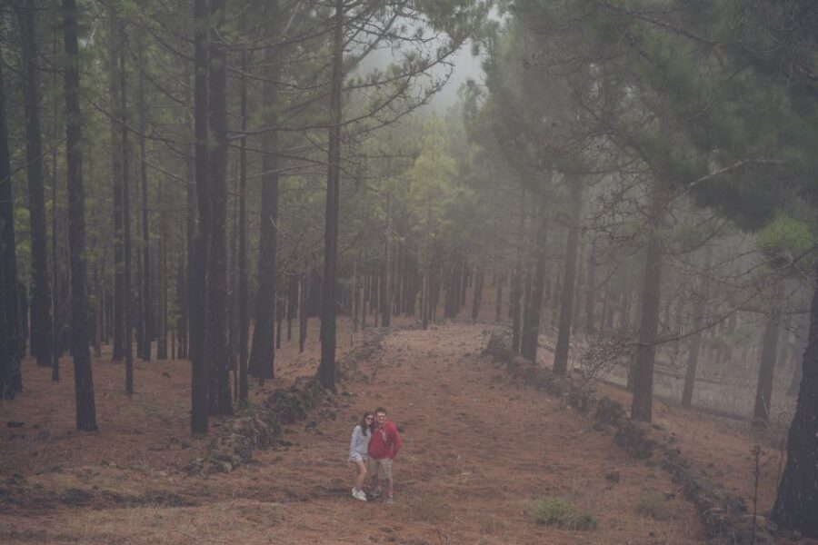 Gran Canaria: Full-Day Customizable Private Photography Tour - Key highlights at a glance