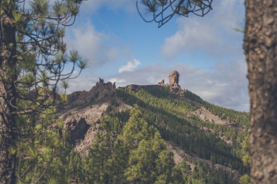 Gran Canaria: Full-Day Customizable Private Photography Tour - What’s included, what you’ll pay for, and how the price adds up