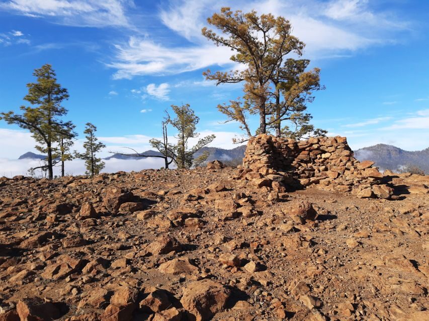 Gran Canaria: Full-Day Guided Hiking With Snacks - A mountain guide day, not a bus tour with walking