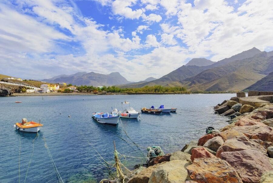 Gran Canaria: Full-Day Island Sightseeing Coach Tour - Price and Value: What You’re Really Paying For